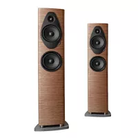 Sonus faber Sonetto III G2 (Orzech) - Raty 20x0% lub specjalna oferta! - Dostawa 0zł!