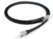 Chord Signature Ethernet - Raty 30x0% - Dostawa 0 zł!