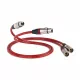 QED Reference XLR 40 Analogue (QE3280) - 0.6m - Raty 10x0% - Dostawa 0zł!