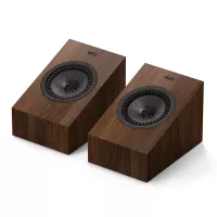 KEF Q8 Meta (Orzech) - Raty 20x0% lub specjalna oferta! - Dostawa 0zł!