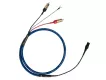 Cardas Clear Cygnus Phono Cable - Raty 30x0% lub specjalna oferta! - Dostawa 0 zł!