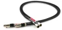 Tellurium Q Black Diamond XLR (1.0m) - Raty 10x0% lub specjalna oferta! - Dostawa 0 zł!